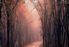 绝地求生摩托车窗帘位置揭秘