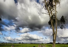 别墅窗帘朝向设计方案解析