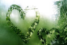 成都窗帘市场价格分析与选购指南